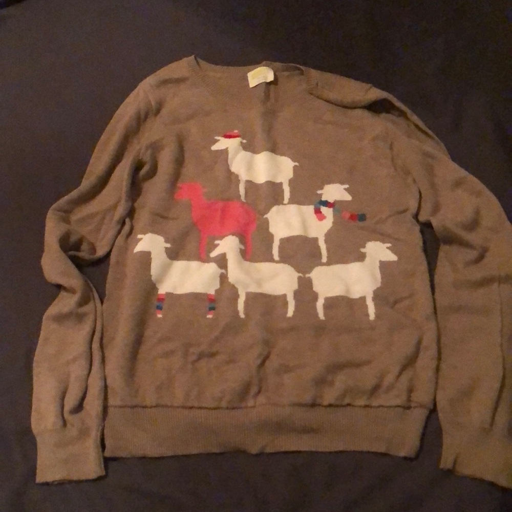 Crazy 8 Brown Sweater